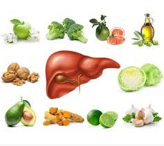 Trà cà gai leo mật nhân cải thiện gan