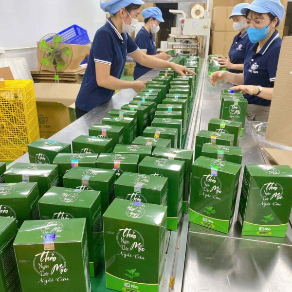 Bột Ngâm Chân Thảo Mộc Ngải Cứu tại xưởng