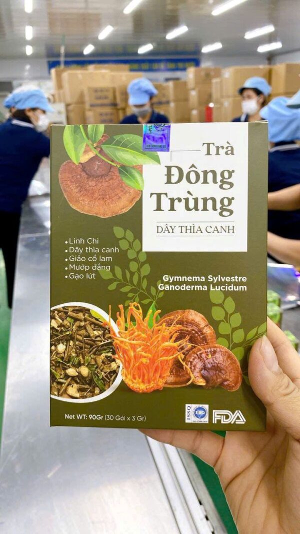 Trà Đông Trùng Dây Thìa Canh