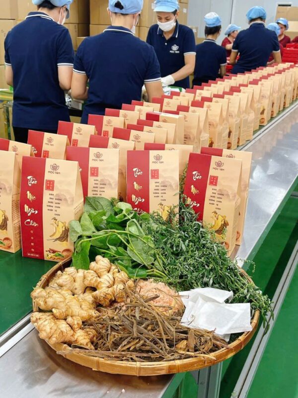 MUỐI NGÂM CHÂN THẢO DƯỢC