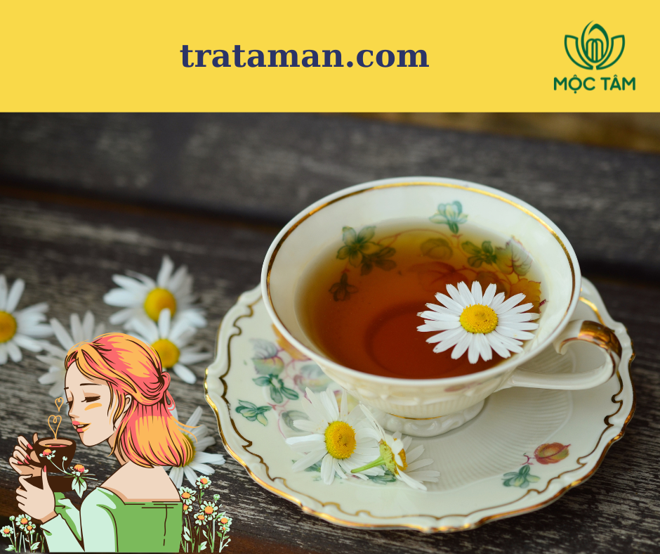 Trà hoa cúc dễ uống