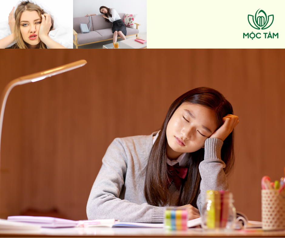 4 Giải Pháp Cho Cơ Thể Mệt Mỏi, Chán Nản: Trà Lá Sen Mộc Tâm