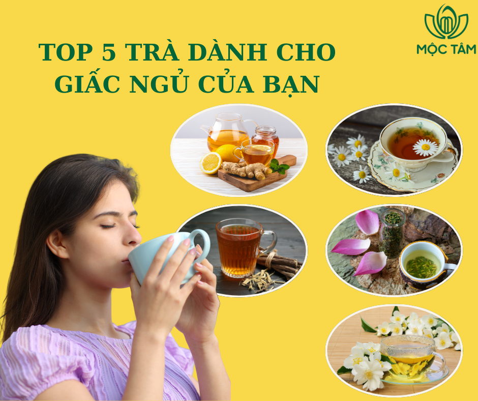 Top 5 Loại Trà Giúp Ngủ Ngon Và Giảm Stress Sau Một Ngày Dài Bạn Không Nên Bỏ Qua