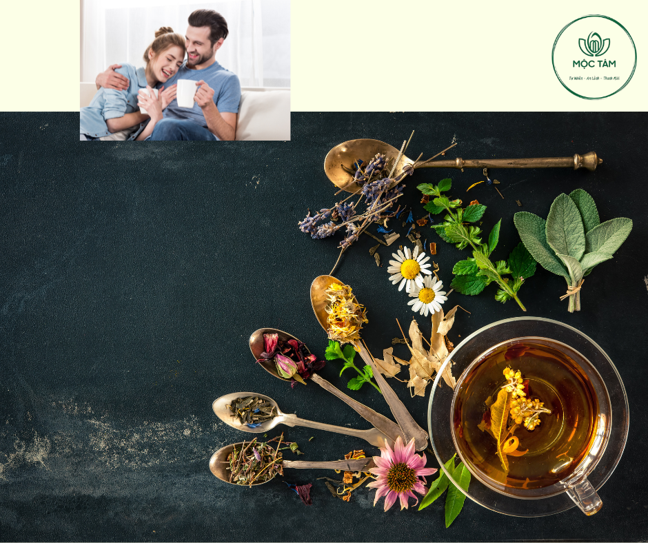 Trà Thảo Mộc Thay Thế Trà Bình Thường: Tác Dụng Đến Sức Khoẻ Và Hiệu Quả Làm Việc