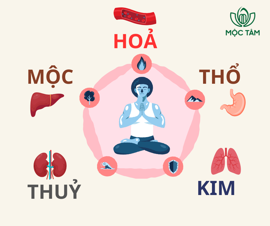 Ngũ Hành Trong Cơ Thể Con Người: Hiểu Để Sống Khỏe Từ Gốc Rễ