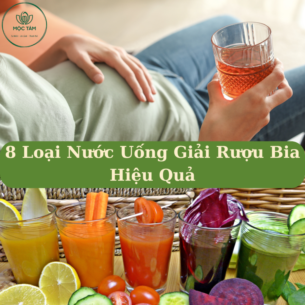 Uống Gì Để Giải Rượu Bia? Giải Pháp Từ Thiên Nhiên Giúp Lấy Lại Sự Tỉnh Táo
