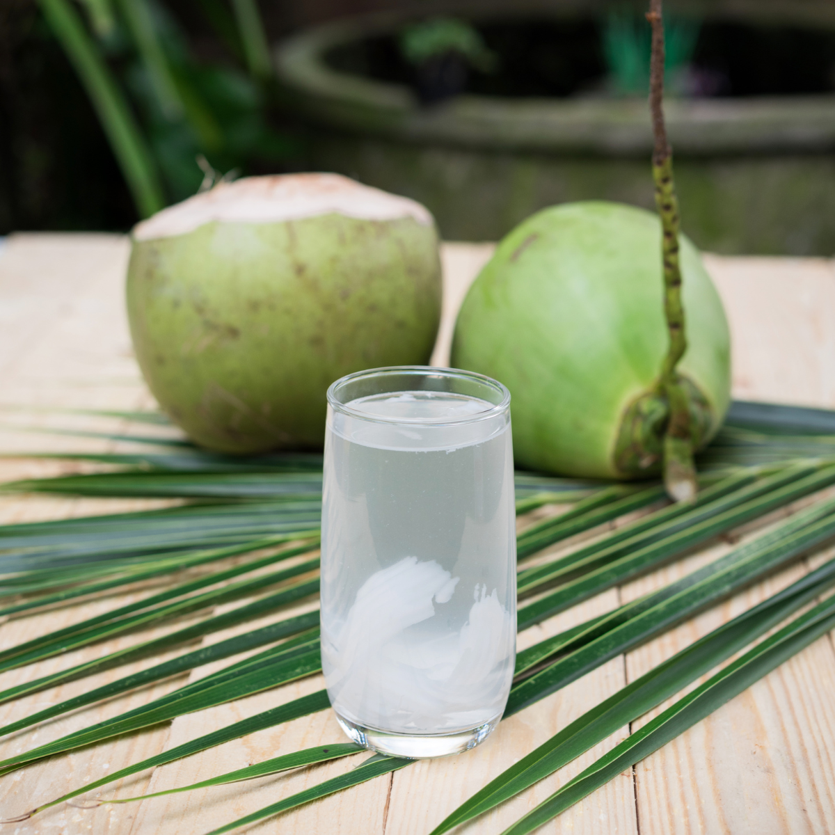 Nước dừa tươi bổ sung điện giải giúp giải rượu bia