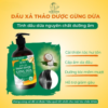 Công dụng dầu xả thảo dược Gừng Dừa 440g