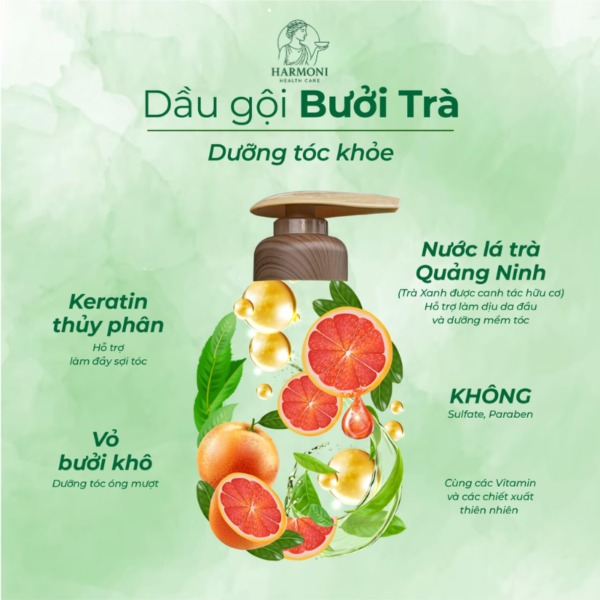 Công dụng dầu gội Bưởi Trà Cỏ Cây Hoa Lá