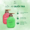 Bội đôi gội Xả Bưởi Trà Cỏ Cây Hoa Lá phục hồi tóc hư tổn hiệu quả