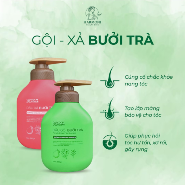 Bội đôi gội Xả Bưởi Trà Cỏ Cây Hoa Lá phục hồi tóc hư tổn hiệu quả