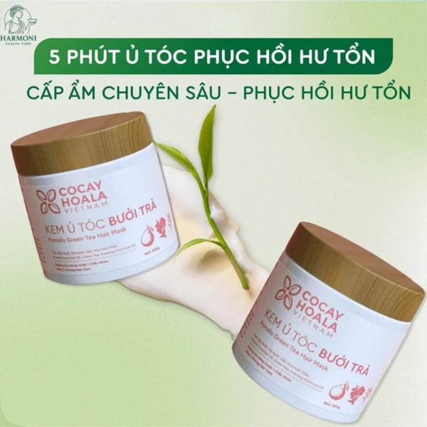 Kem ủ phù hợp với nhiều loại tóc, đặc biệt là tóc khô xơ và hư tổn do hóa chất
