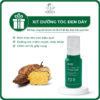 Công dụng xịt dưỡng tóc Hà thủ ô đỏ Cỏ Cây Hoa Lá 100g ngăn tóc gãy rụng - kích mọc tóc
