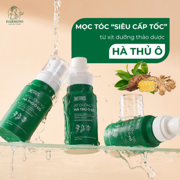 Thành phần xịt dưỡng tóc Hà thủ ô đỏ Cỏ Cây Hoa Lá 100g ngăn tóc gãy rụng - kích mọc tóc