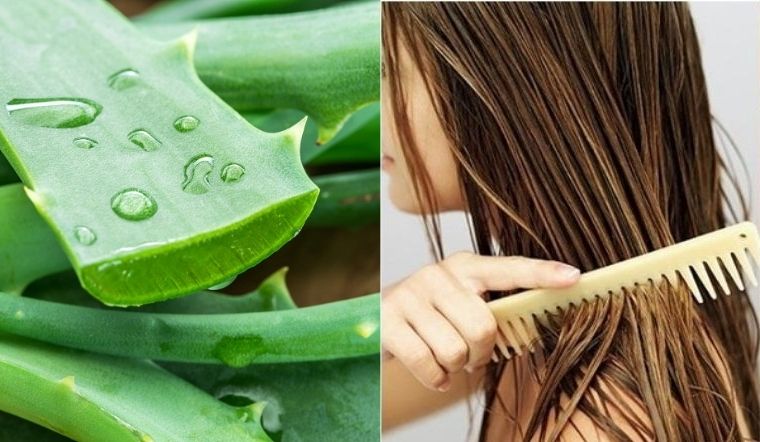 cách dưỡng tóc mọc dày