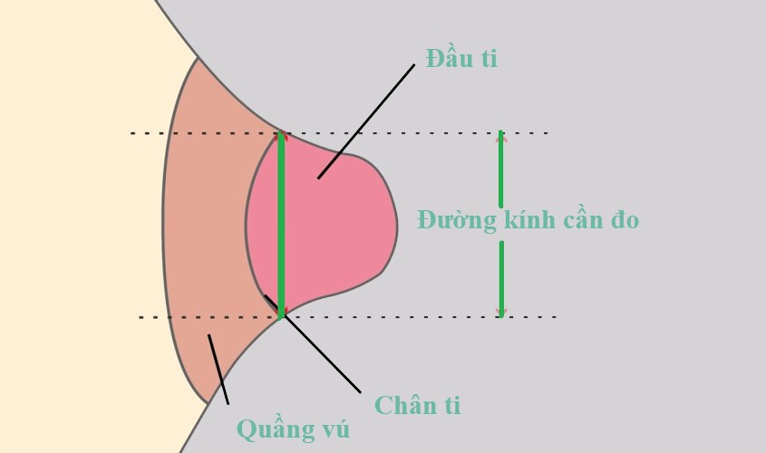 miếng dán ngực