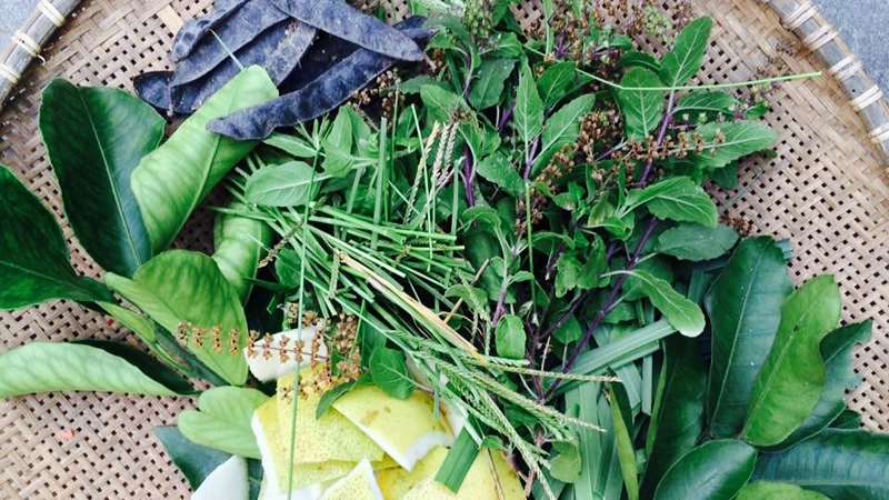 thảo mộc xông tắm cho phụ nữ sau sinh